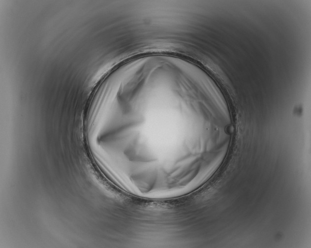 X0000112460842200909071108