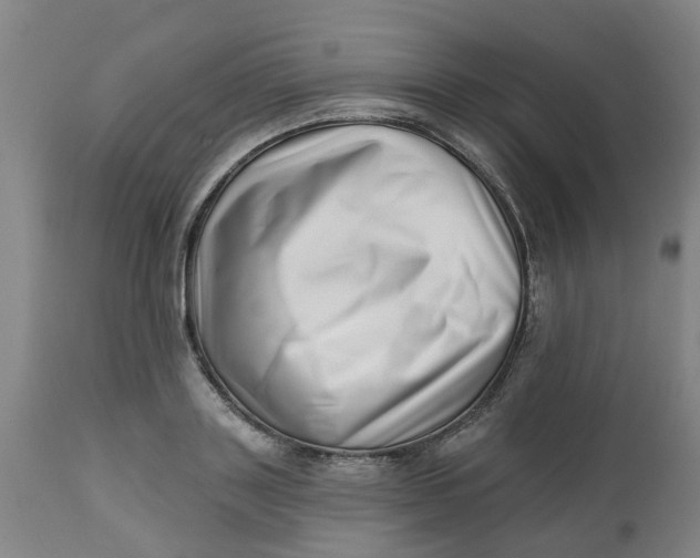 X0000112460843200909071108