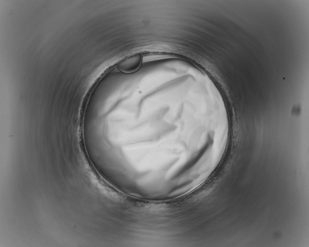 X0000112460845200909071108