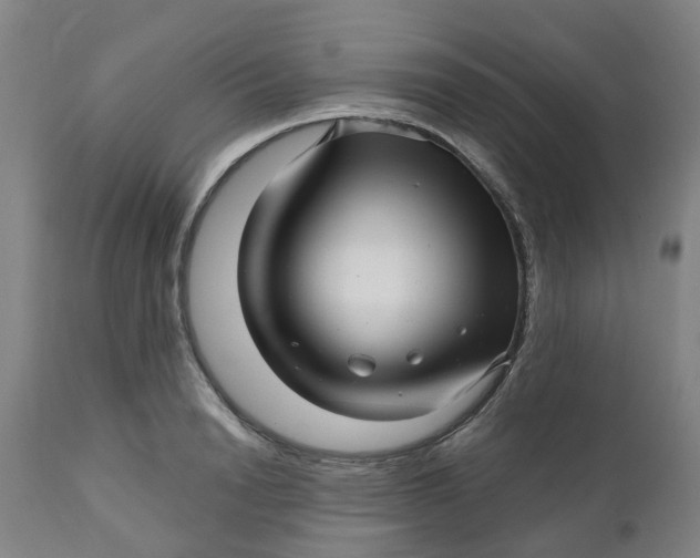 X0000112460846200909071108