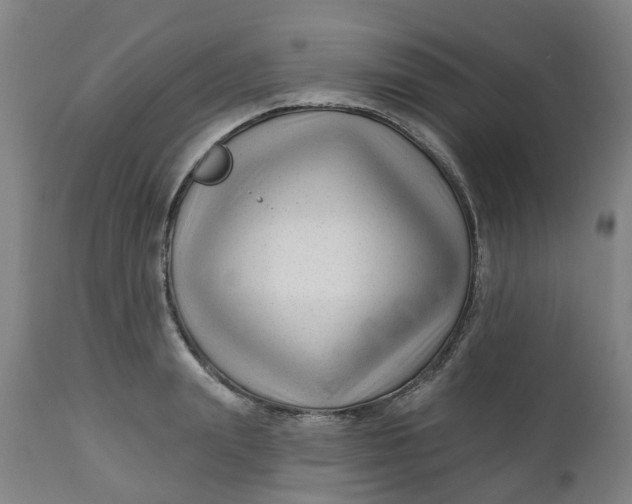 X0000112460847200909071108