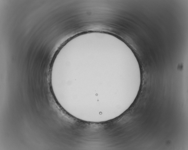 X0000112460848200909071108