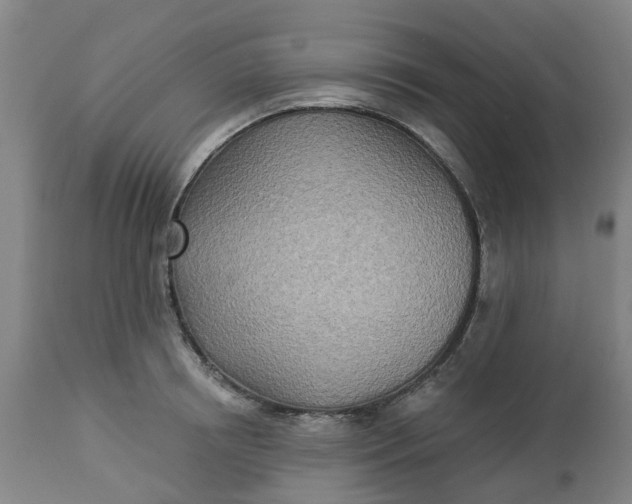 X0000112460850200909071108