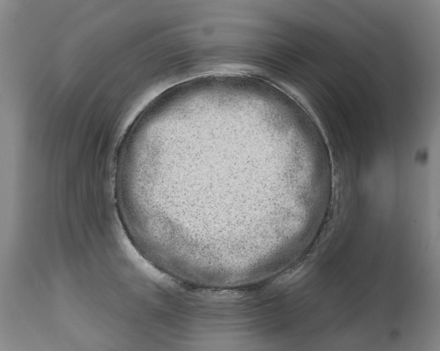 X0000112460851200909071108