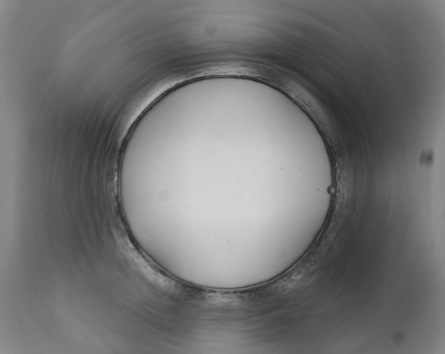 X0000112460852200909071108