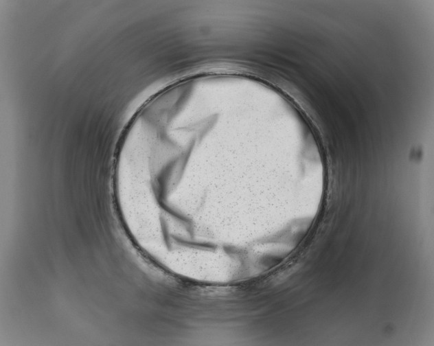 X0000112460853200909071108