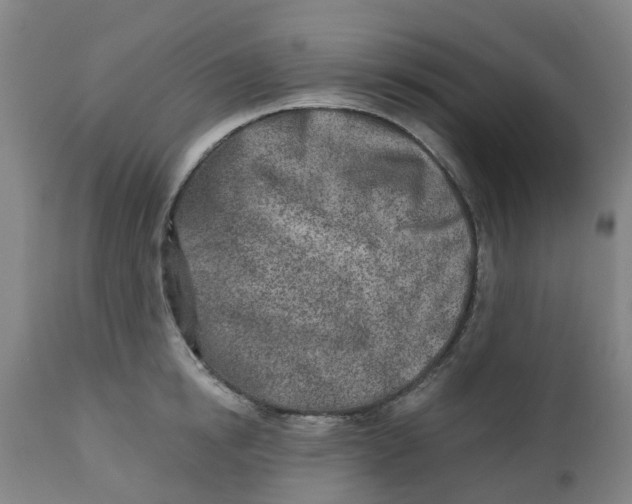 X0000112460854200909071108