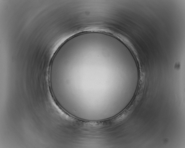 X0000112460855200909071108