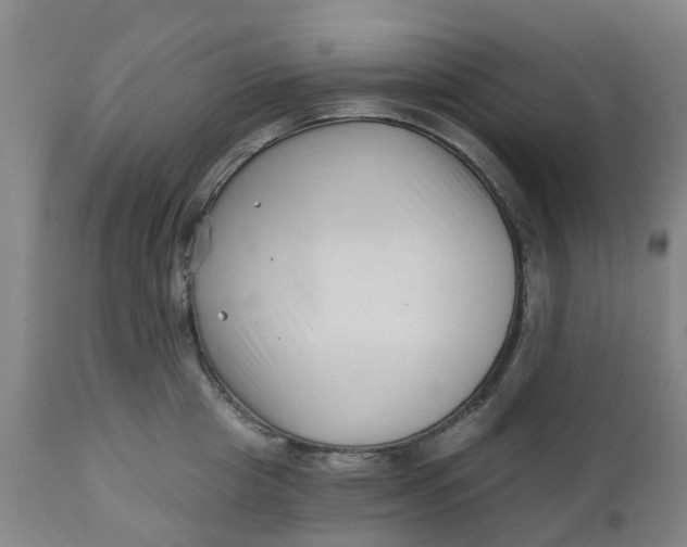 X0000112460857200909071108