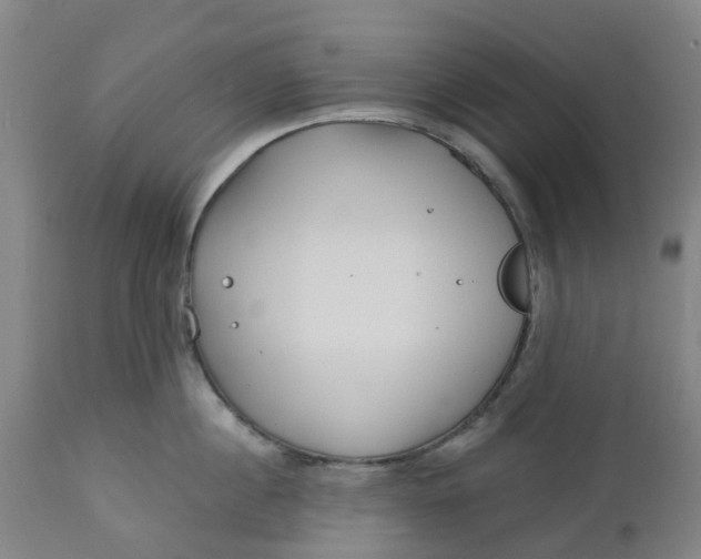 X0000112460860200909071108