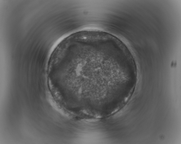 X0000112460864200909071108