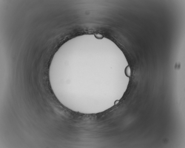 X0000112460865200909071107