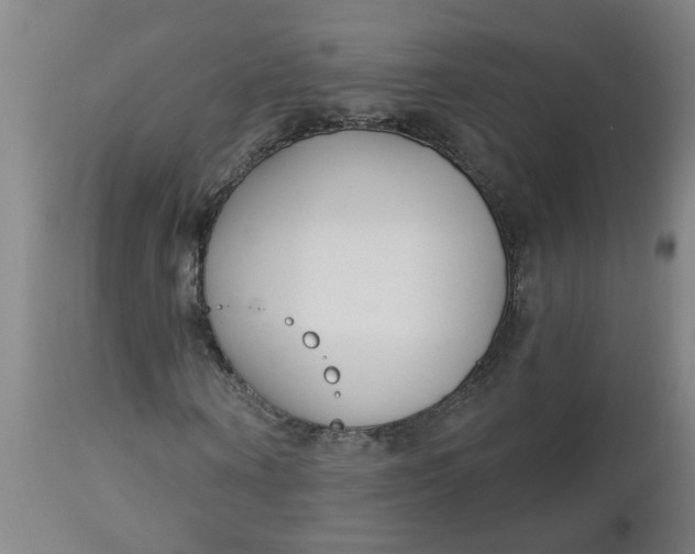 X0000112460866200909071107