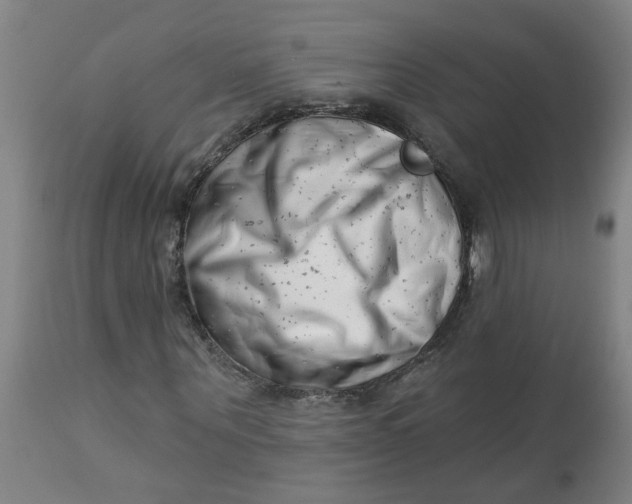 X0000112460867200909071107