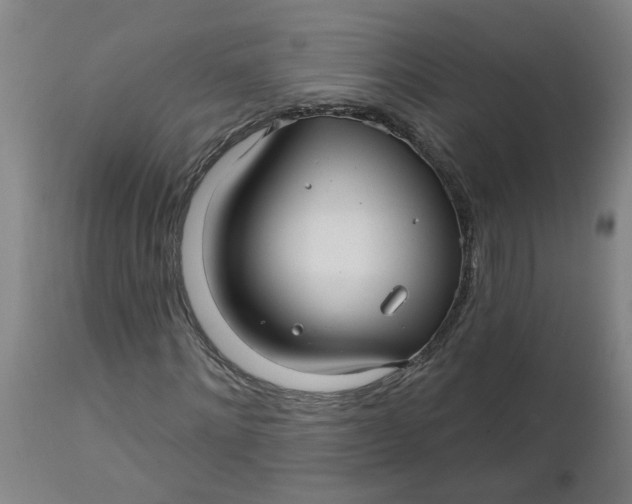 X0000112460868200909071107