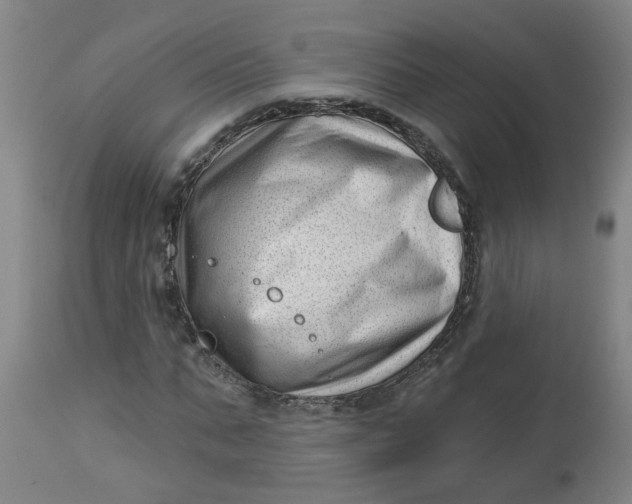 X0000112460871200909071107