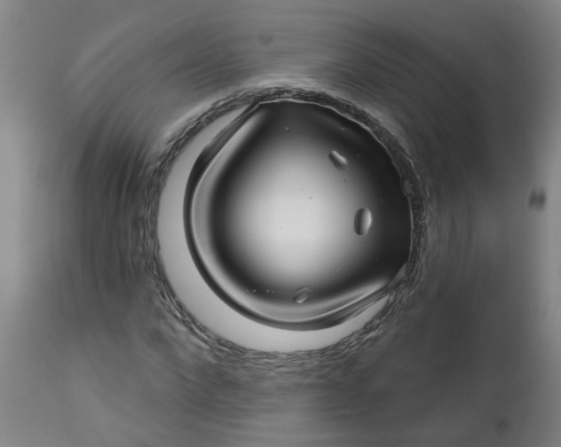 X0000112460872200909071107