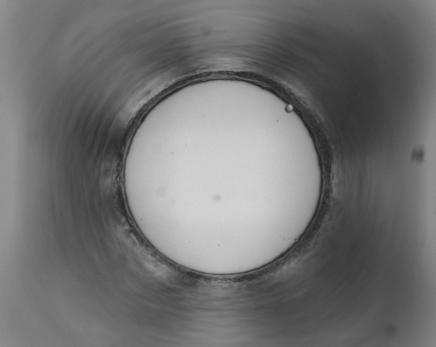 X0000112460873200909071107