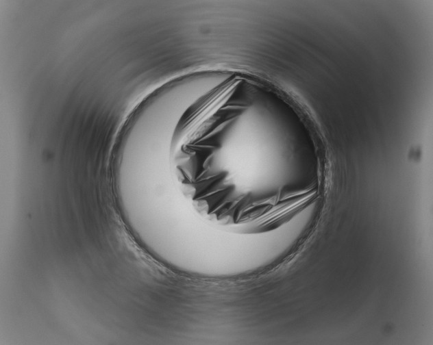 X0000112460876200909071107