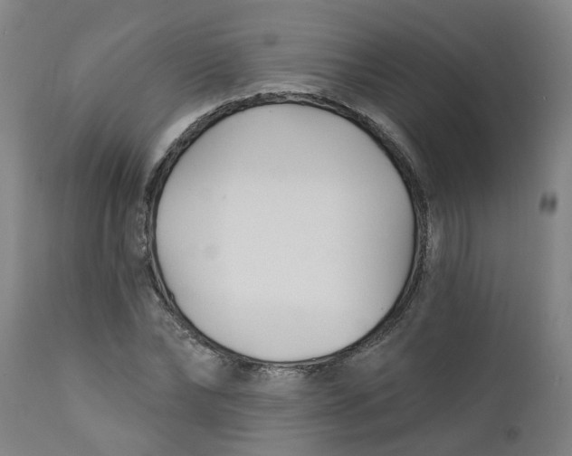 X0000112460878200909071107