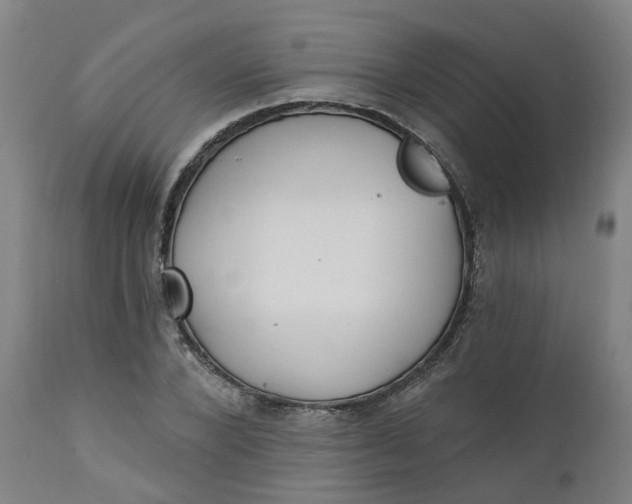 X0000112460880200909071107