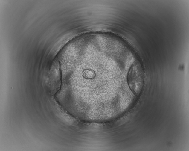 X0000112460881200909071107