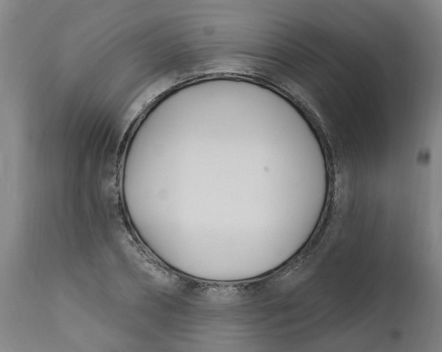 X0000112460882200909071107