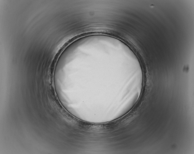 X0000112460883200909071107