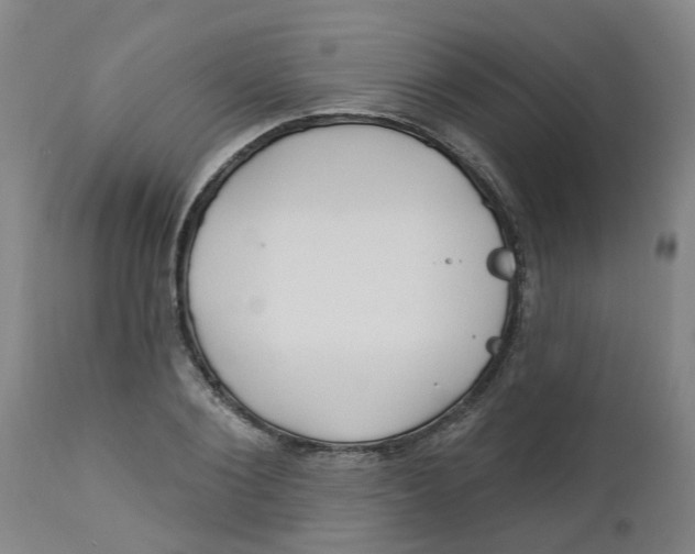 X0000112460884200909071107