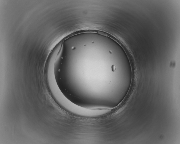 X0000112460885200909071107