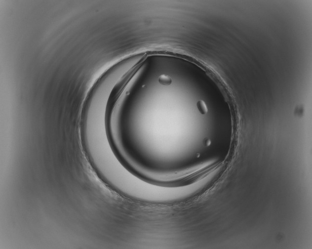 X0000112460888200909071107