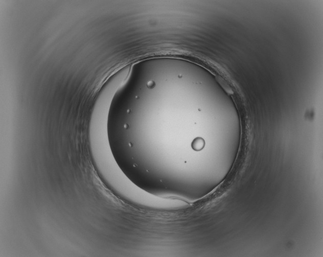 X0000112460889200909071107