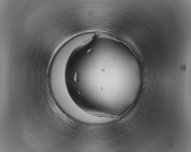 X0000112460892200909071107