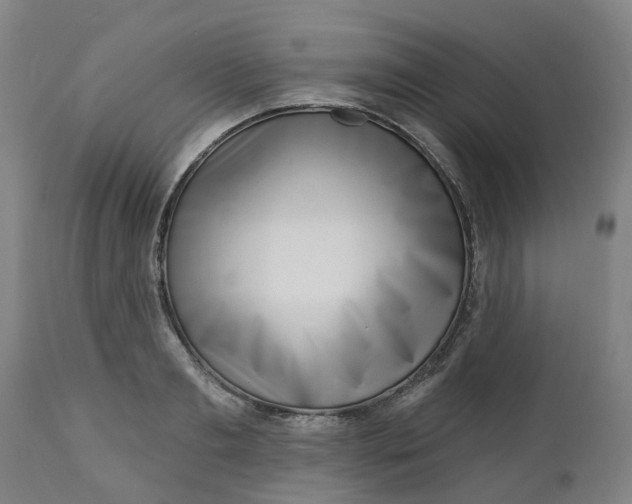 X0000112460893200909071107