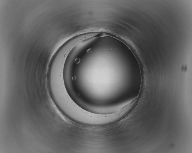 X0000112460894200909071107