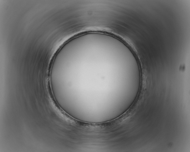 X0000112460895200909071107