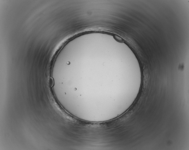 X0000112460896200909071107