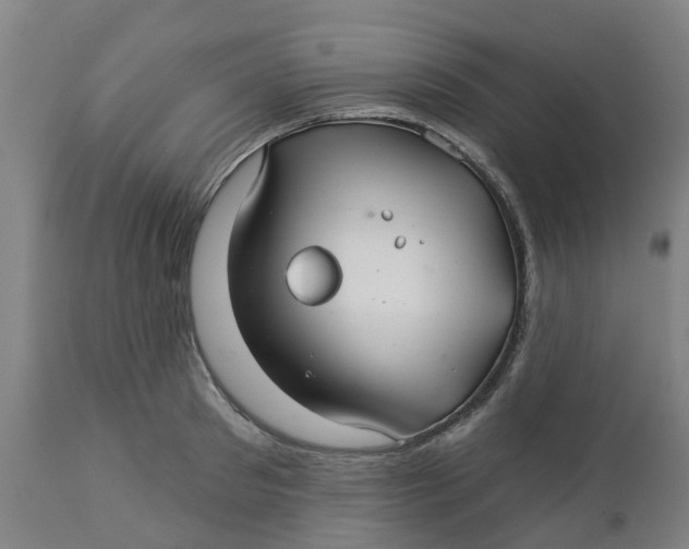 X0000112460897200909071107