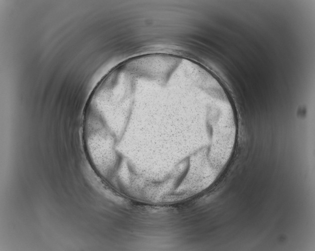 X0000112460899200909071107