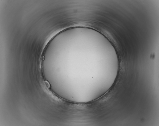 X0000112460900200909071107