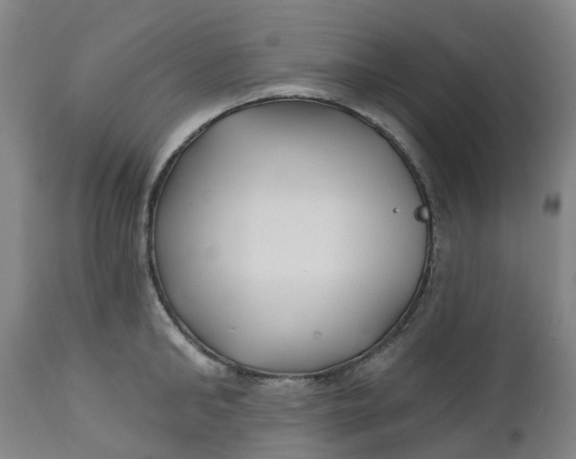 X0000112460902200909071107