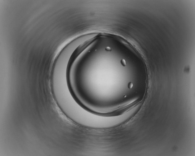 X0000112460904200909071107