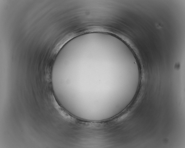 X0000112460905200909071107