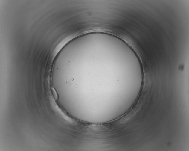 X0000112460906200909071107