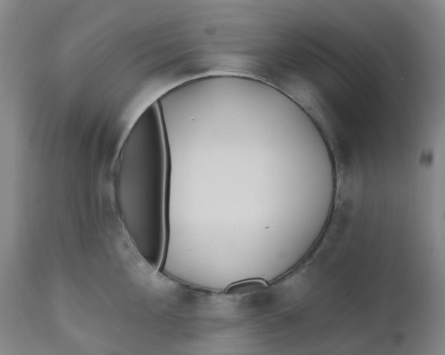 X0000112460908200909071107