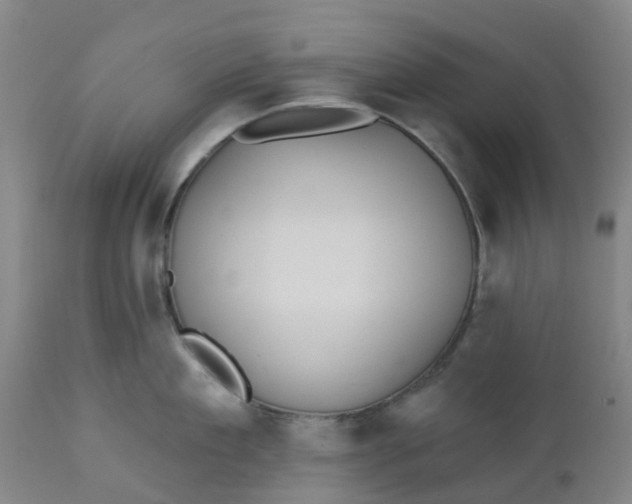 X0000112460909200909071107