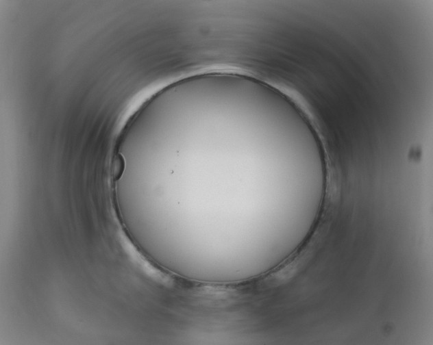 X0000112460910200909071107