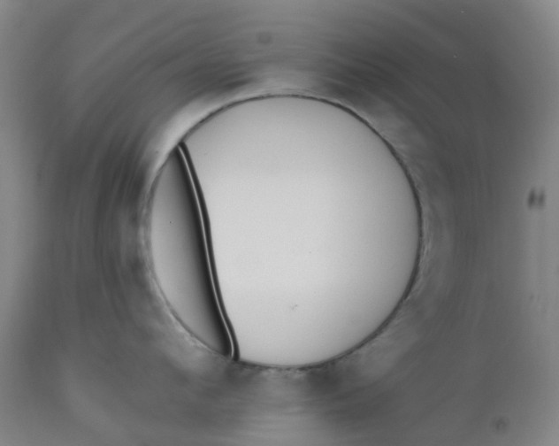 X0000112460912200909071107