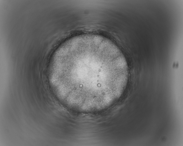 X0000112460913200909071106