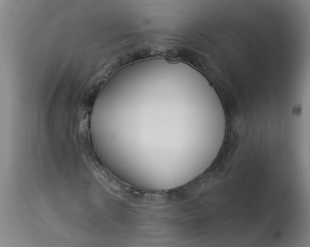 X0000112460914200909071106